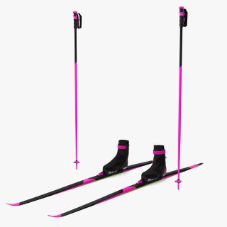3D model Ski Boots with Poles
