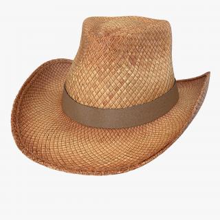 3D Straw Cowboy Hat