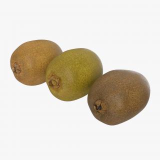 3D model Kiwi Collection