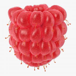 3D model Ripe Raspberry 2 with Fur