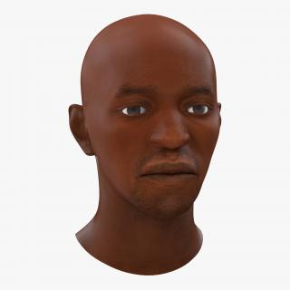 3D African American Male Head 2 model