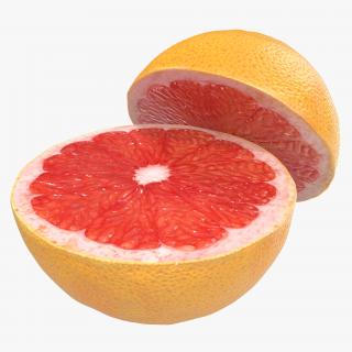 Grapefruit Cross Section 3D model