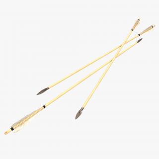 Bow Arrow 3D model