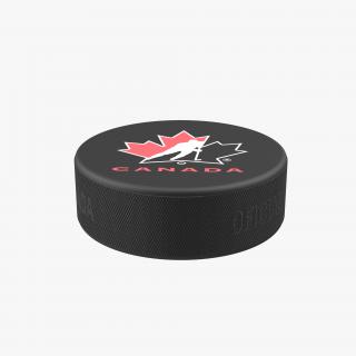 3D Hockey Puck 3 model