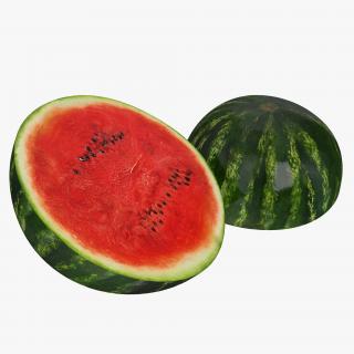 Watermelon Cross Section 3D model