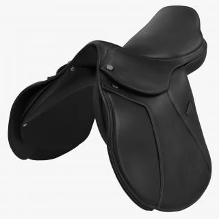 3D model Saddle