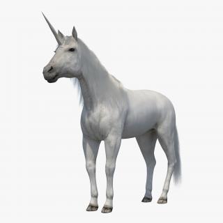 3D Unicorn with Fur