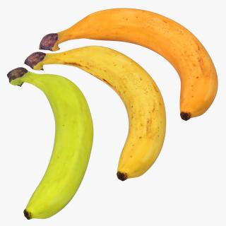 3D Bananas 3D Models Collection model