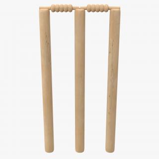 Cricket Wicket 3D model