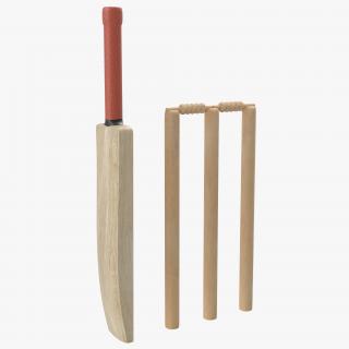 3D Cricket Collection model