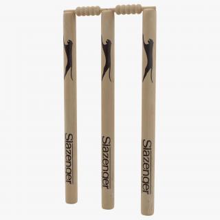 Cricket Wicket Slazenger 3D model