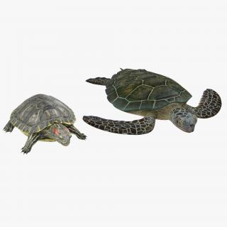 3D model Rigged Turtles 3D Models Collection