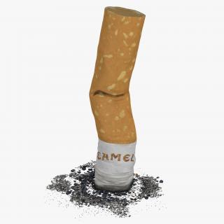 3D Snuffed Cigarette Camel model