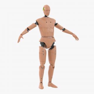 3D Male Crash Test Dummy