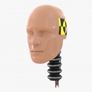 3D Male Crash Test Dummy Head