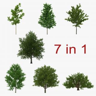 3D Summer Trees Collection model