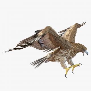 Gurney Eagle Pose 2 3D model