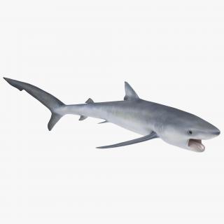 Blue Shark Pose 2 3D