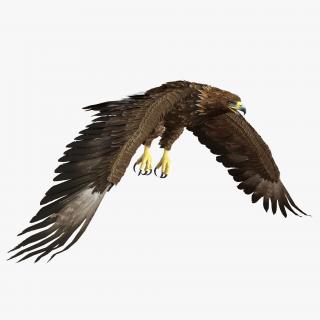 Golden Eagle Pose 4 3D model