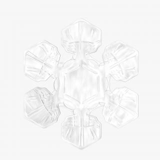 Snowflake 3D model