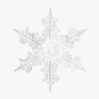 3D Snowflake 5