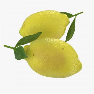 Lemon 2 3D model