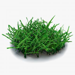 Grass 4 3D model