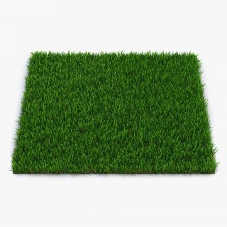 Zoysia Grass 3D