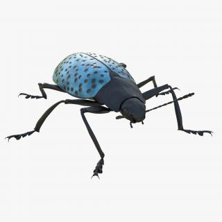 3D model Gibbifer Californicus Beetle 2