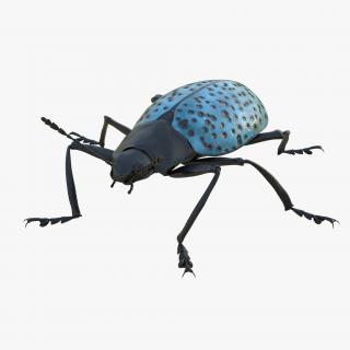 Gibbifer Californicus Beetle 2 Rigged 3D