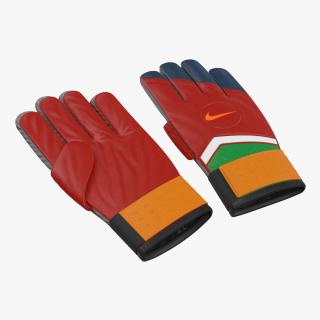 3D Goalie Gloves Nike model