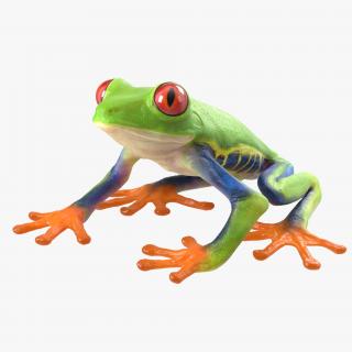 3D model Red Eyed Tree Frog Pose 4