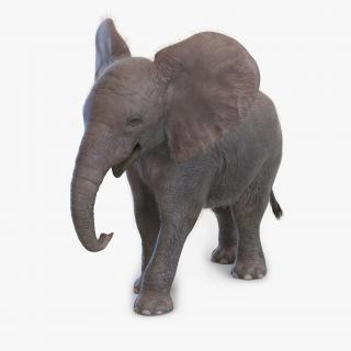 Baby Elephant Pose 2 with Fur 3D model