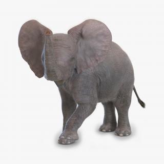 Baby Elephant Rigged with Fur 3D model