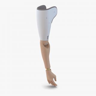 Prosthetic Arm 3D model