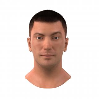 3D Male Head with Hair Rigged