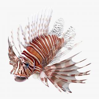 3D model Lionfish