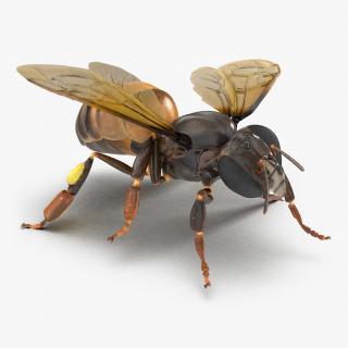 3D Honey Bee Pose 4