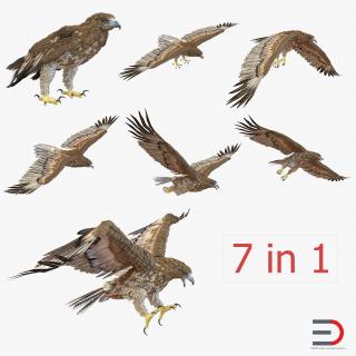 3D Gurney Eagle Collection model