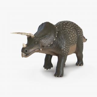 3D Triceratops Pose 3 model