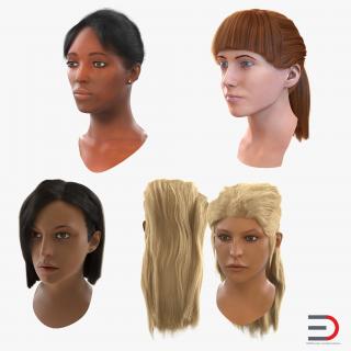 3D Female Heads Collection model