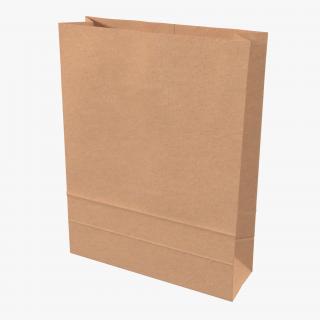 3D Paper Bag 5