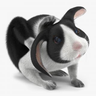 Black Rabbit Pose 4 3D model