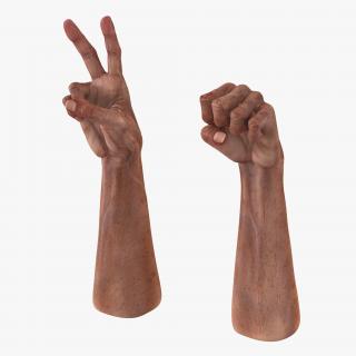 Rigged Man Hands Collection 3D