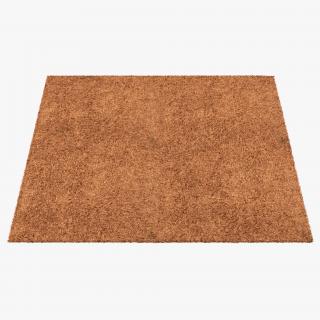 Carpet Beige 3D