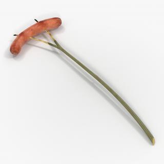 3D Grilled Sausage on a Wooden Stick model