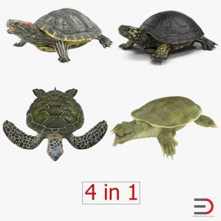 Rigged Turtles 3D Models Collection 2 3D