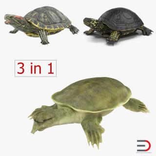 Rigged Turtles 3D Models Collection 3 3D