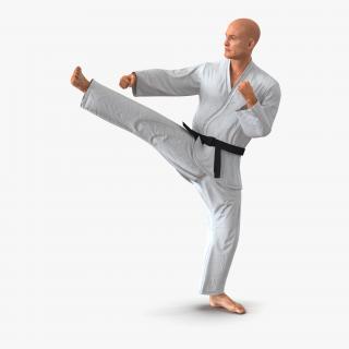 3D Karate Fighter Pose 2