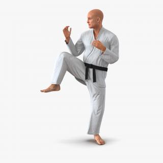 3D Karate Fighter Pose 3